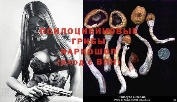 первитин Алексин