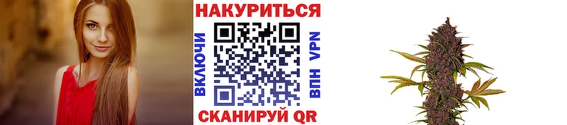 Бошки Шишки White Widow  где найти   Сосенский 